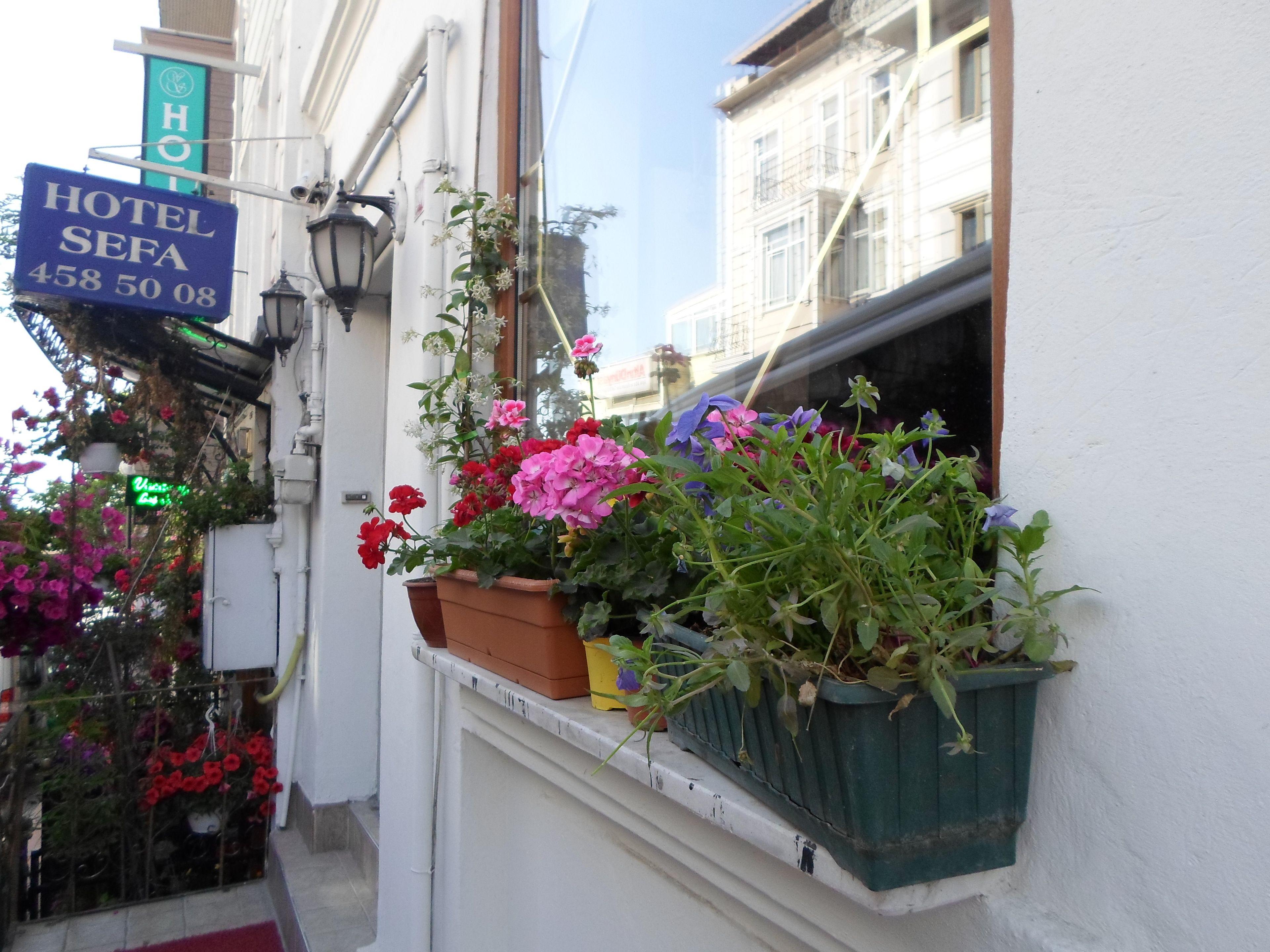 La Maison Bleue - Istanbul — Photos 2